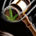 Colorado Medical Marijuana and Probation - An Analysis Of A New Law In 2015