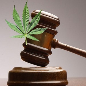 Colorado Probation Violations Based On The Use Of Medical Marijuana