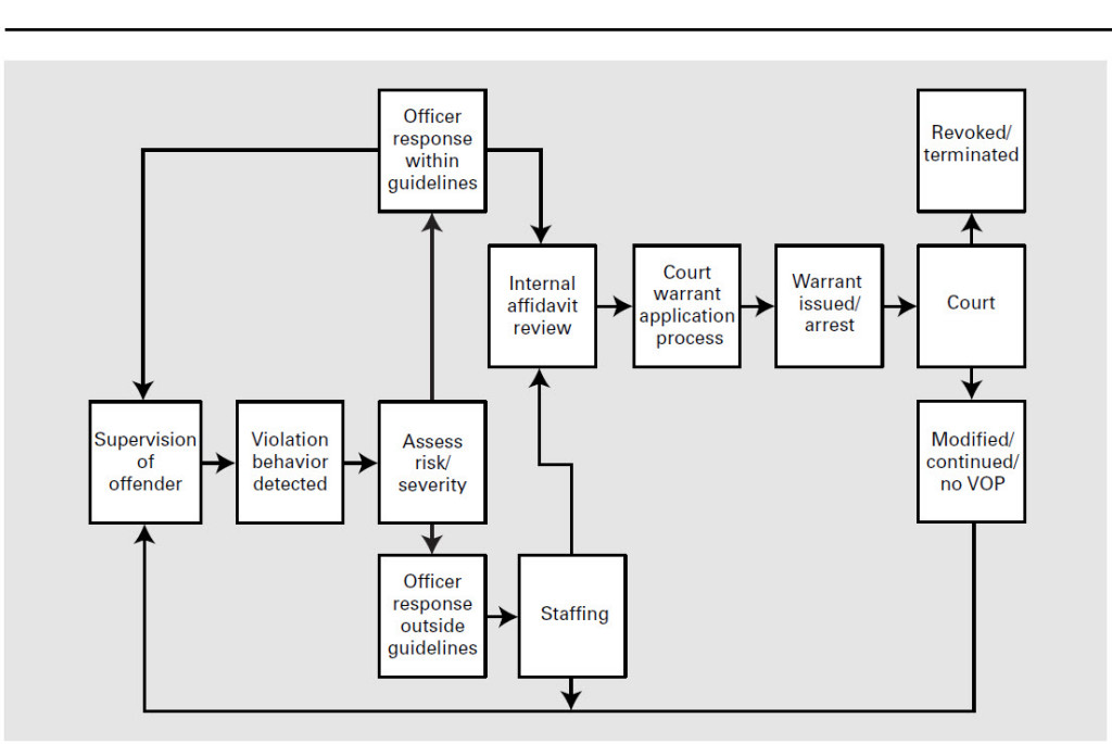 Excellent Flow Chart Probation Violation Lawyer Colorado